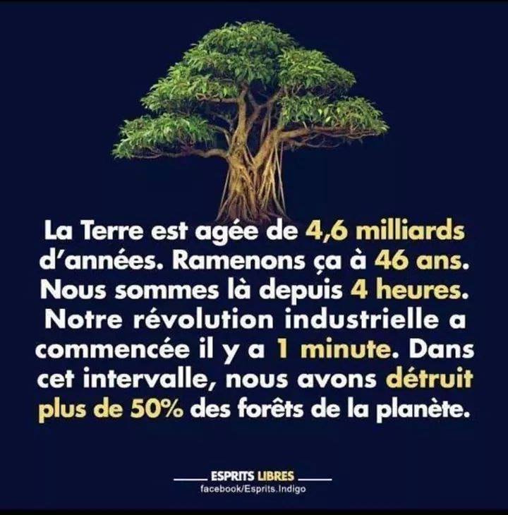 Le temps de l'cologie title=